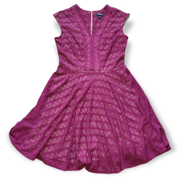 NWT Roz&Ali Dressbarn Dress Size 8 Maroon Burgundy Wine Red with Cream Lining - Picture 1 of 10